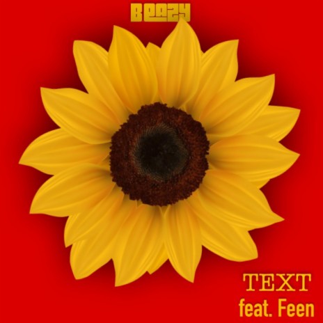 Text ft. Feen | Boomplay Music