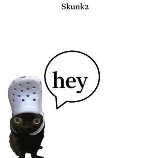 Skunk2