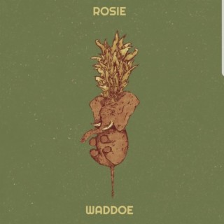 ROSIE lyrics | Boomplay Music