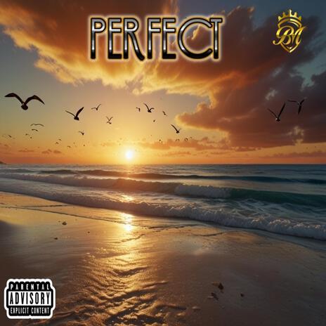 Perfect | Boomplay Music