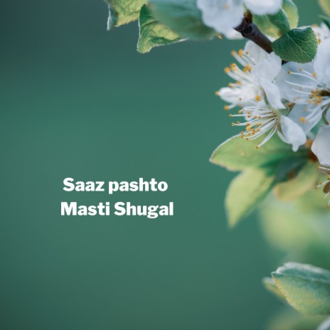 Saaz Pashto Masti Shugal | Boomplay Music