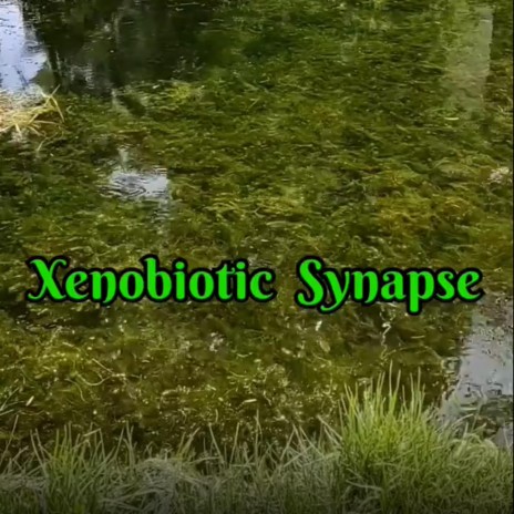 Xenobiotic Synapse | Boomplay Music