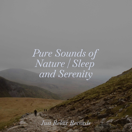 Tranquil Slumber Soundscape ft. Meditation Relaxation Club & MÚSICA PARA NIÑOS | Boomplay Music