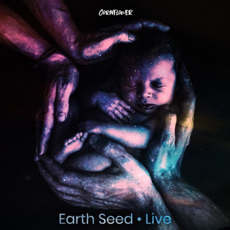 Earth Seed (Live) | Boomplay Music