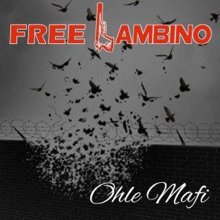 Free Lambino