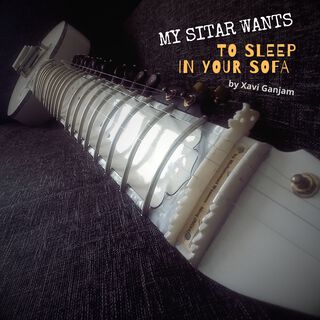 My Sitar Wants to Sleep in Your Sofa