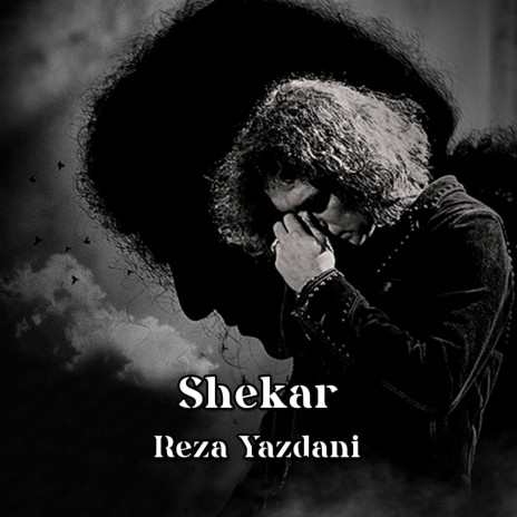 Shekar | Boomplay Music