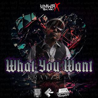 What You Want lyrics | Boomplay Music