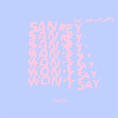 Won’t Say ft. Jim Hickey & SANREY | Boomplay Music