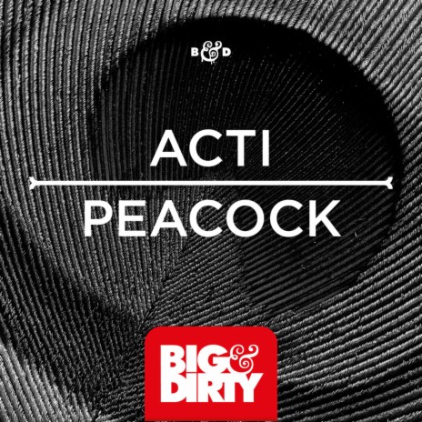 Peacock (Radio Edit) | Boomplay Music