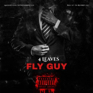 Fly Guy