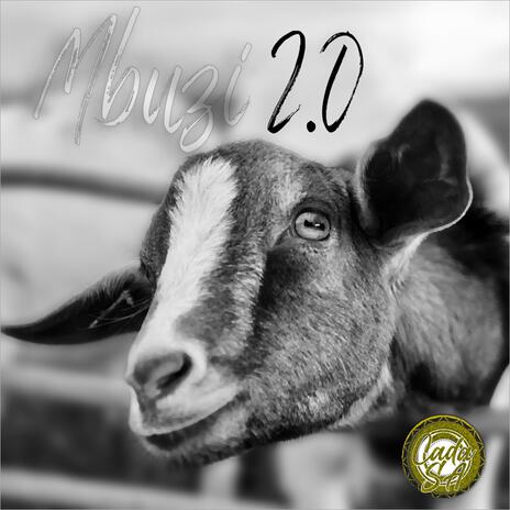 Mbuzi 2.0 | Boomplay Music