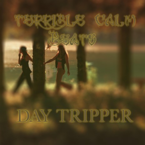 Day Tripper | Boomplay Music