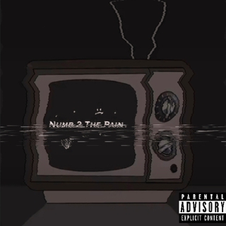 Numb 2 The Pain lyrics | Boomplay Music
