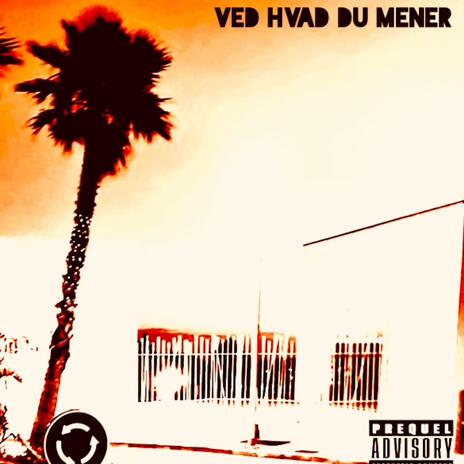 Ved hvad du mener | Boomplay Music