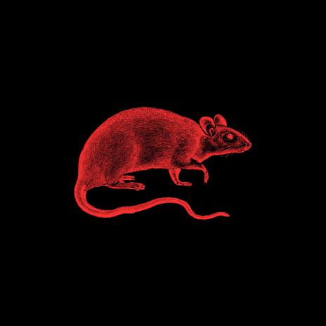 Rats | Boomplay Music