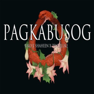 Pagkabusog ft. Shaheen & Zend Luke lyrics | Boomplay Music