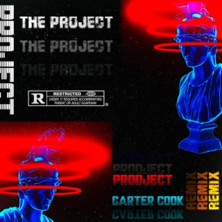 The Project (Remix) ft. Carter Cook lyrics | Boomplay Music