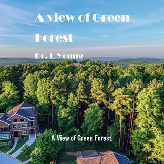 A View of Green Forest lyrics | Boomplay Music