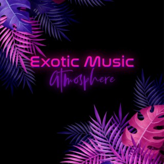 Exotic Music Atmosphere: Unwind, Repose and Forget