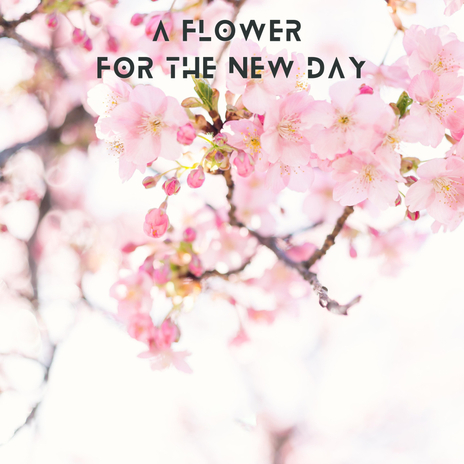 A Flower For The New Day | Boomplay Music