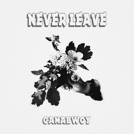 Never Leave | Boomplay Music