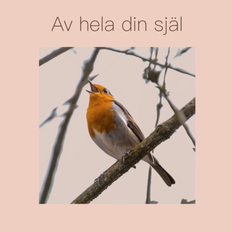 Av hela din själ | Boomplay Music