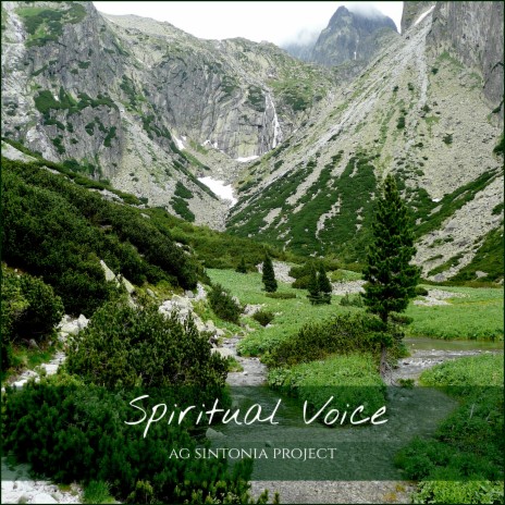 Spiritual Voice | Boomplay Music