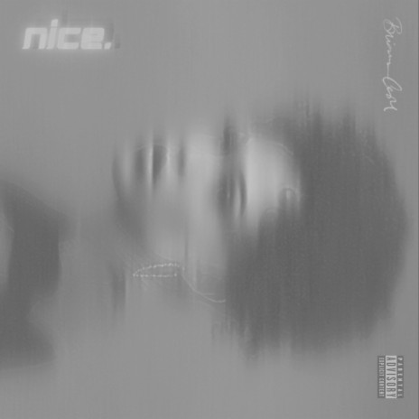 Nice | Boomplay Music