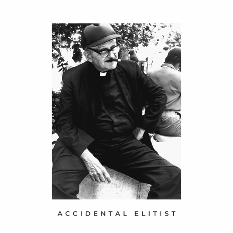 Accidental Elitist | Boomplay Music