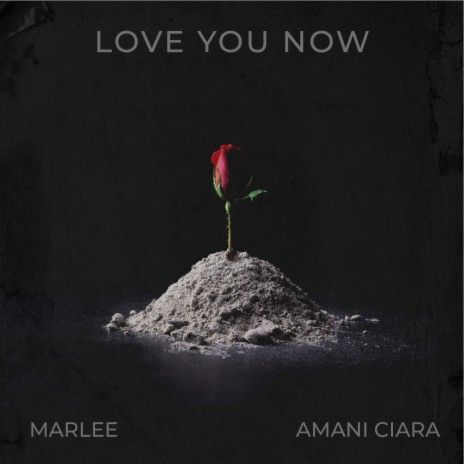 Love You Now (feat. Amani Ciarra) | Boomplay Music