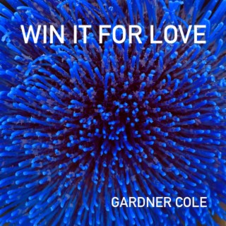 Win It For Love lyrics | Boomplay Music