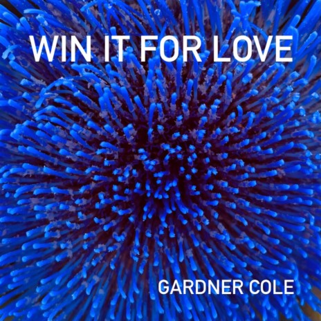 Win It For Love | Boomplay Music