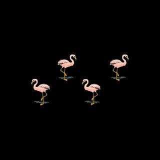 Flamingo (Remix) ft. Pish lyrics | Boomplay Music