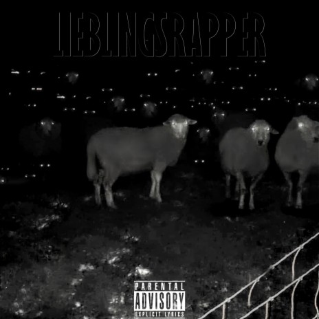 Lieblingsrapper (Remix) ft. Marcianer, Niqi, Schaden46, Zak79 & Majid | Boomplay Music