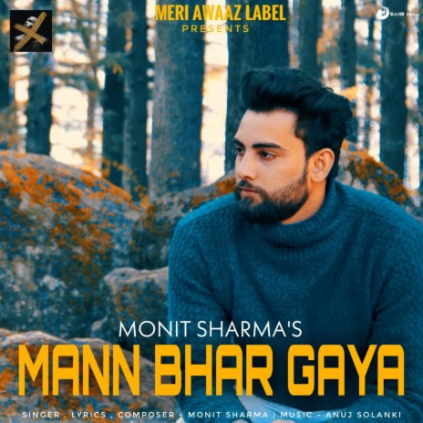 Mann Bhar Gaya | Boomplay Music
