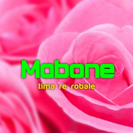 Tima re robale | Boomplay Music