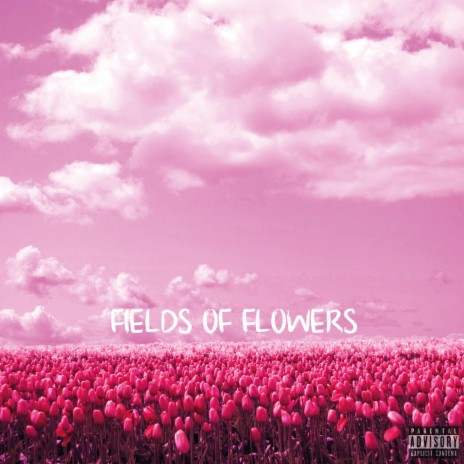 Fields of Flowers | Boomplay Music