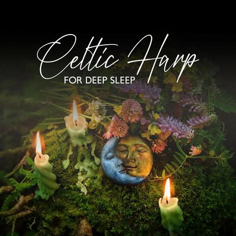 Best Celtic Harp
