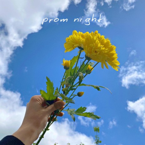 prom night | Boomplay Music