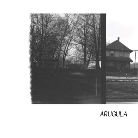 Arugula | Boomplay Music