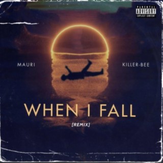 When I Fall (remix) (feat. Killer-BEE)