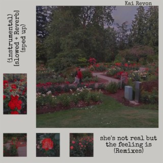 She's not real but the feeling is (Remixes) EP