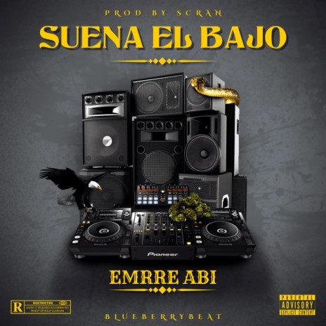 suena el bajo ft. Emrre abi | Boomplay Music