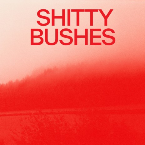 Shitty Bushes | Boomplay Music