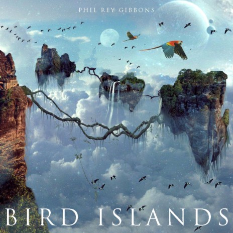 Bird islands | Boomplay Music