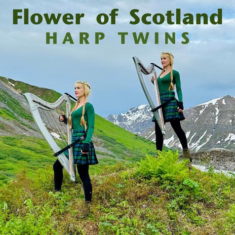 Flower of Scotland | Boomplay Music