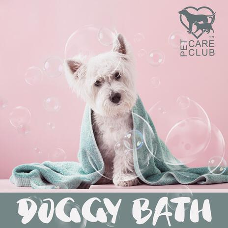 Puppy First Bath