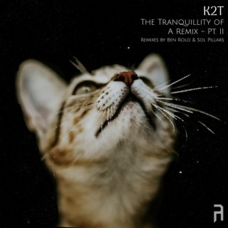 The Tranquillity of A Remix - Pt. II