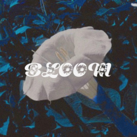 Bloom ft. Tacit